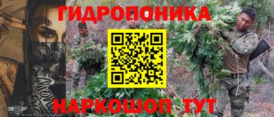 дживик Будённовск