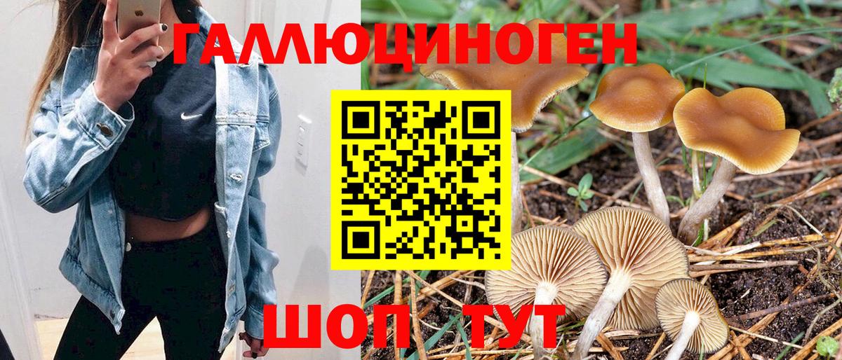 Псилоцибиновые грибы мухоморы Павловский Посад